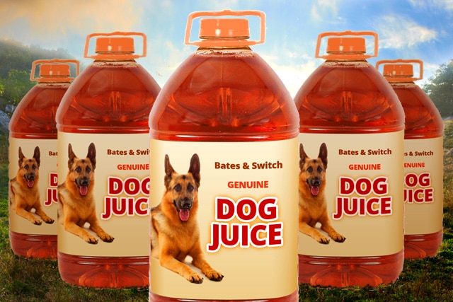 Content Strategy: Stop Feeding Your Audience Dog Juice White Papers