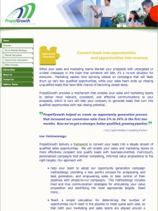 Page from original PropelGrowth website.