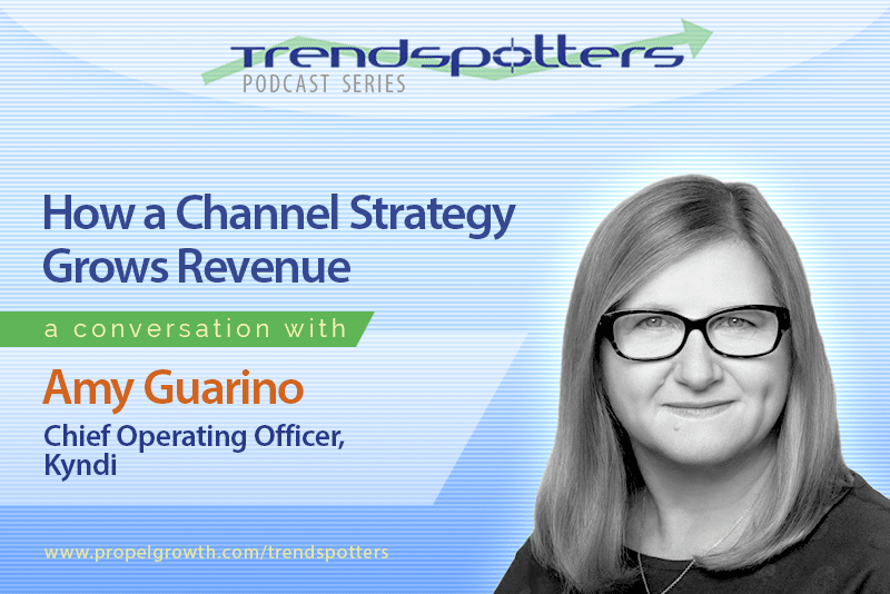 How a channel strategy grows revenue with Amy Guarino