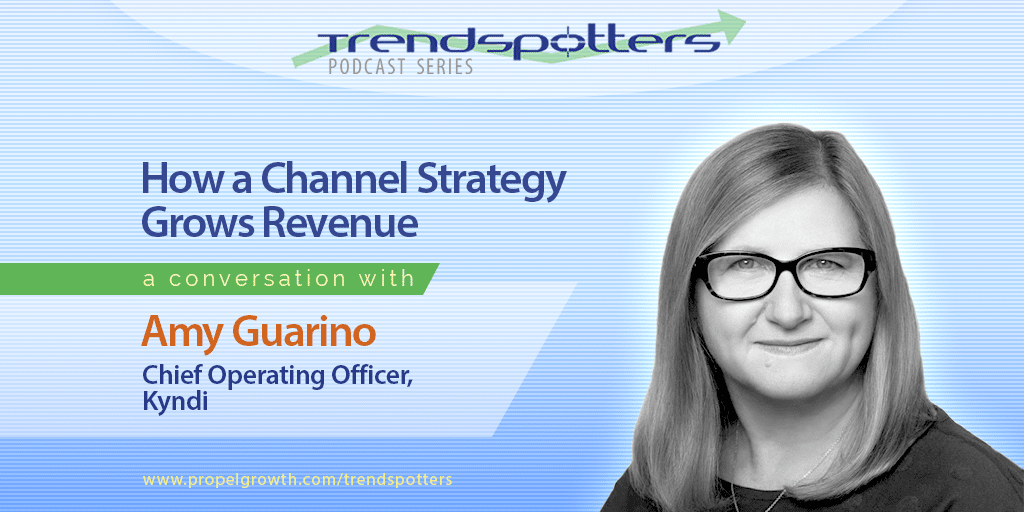 How a Channel Strategy Grows Revenue with Amy Guarino – Episode 003