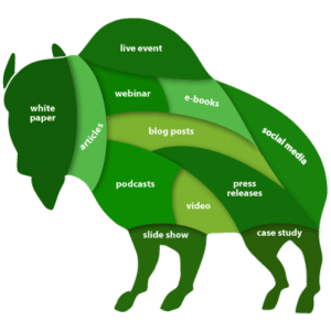PropelGrowth helps you to use every part of the buffalo with your thought leadership.